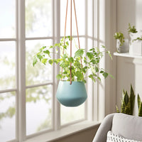 Hanging Planter