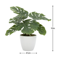 Villa 4.5d" Faux Potted 10" Plant - Monstera