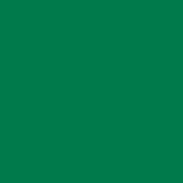 Green Matte 12” (Oracal)