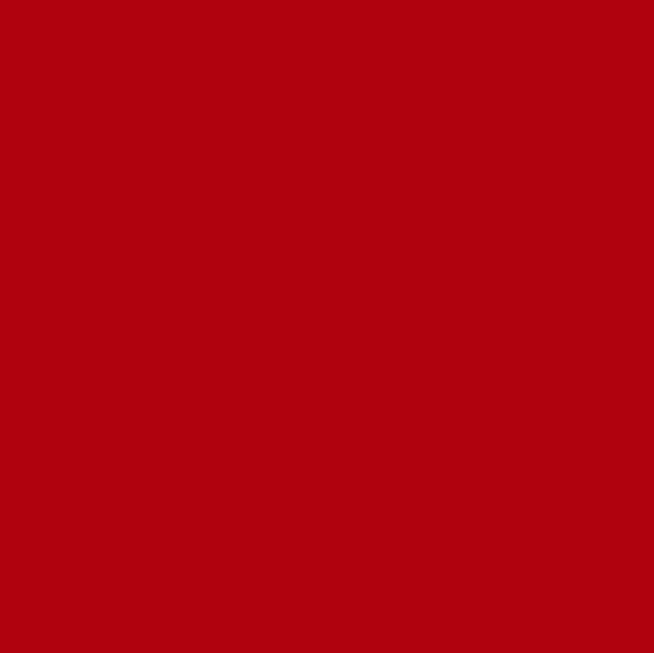 Red Matte 12” (Oracal)