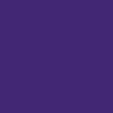 Purple 12" (Oracal)