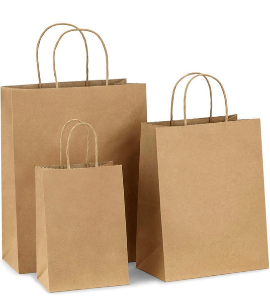 Paper Bag with handles